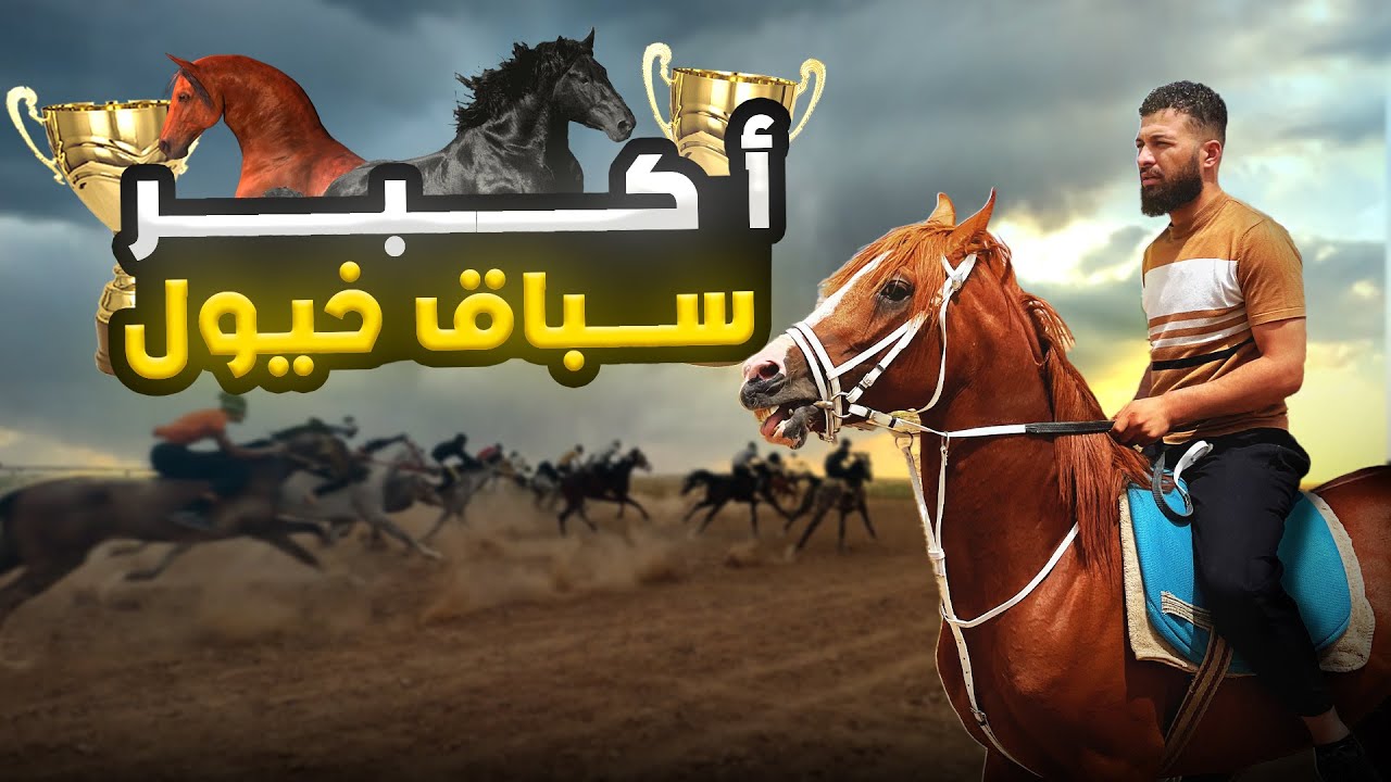 شاركت في أكبر سباق خيول في سوريا: مغامرتي مع الحصان الأصيل بابل!