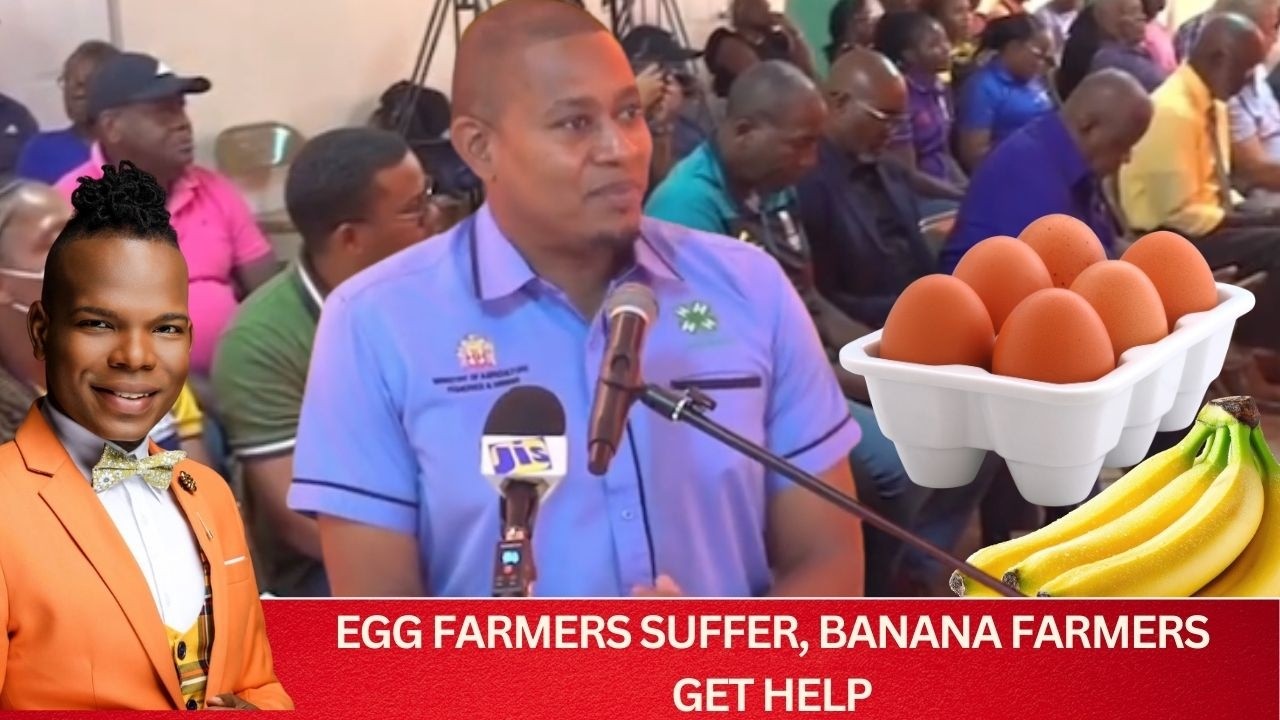 Egg Farmers Cry Foul! Imported Eggs Flood Jamaica While Banana Farmers Get Support