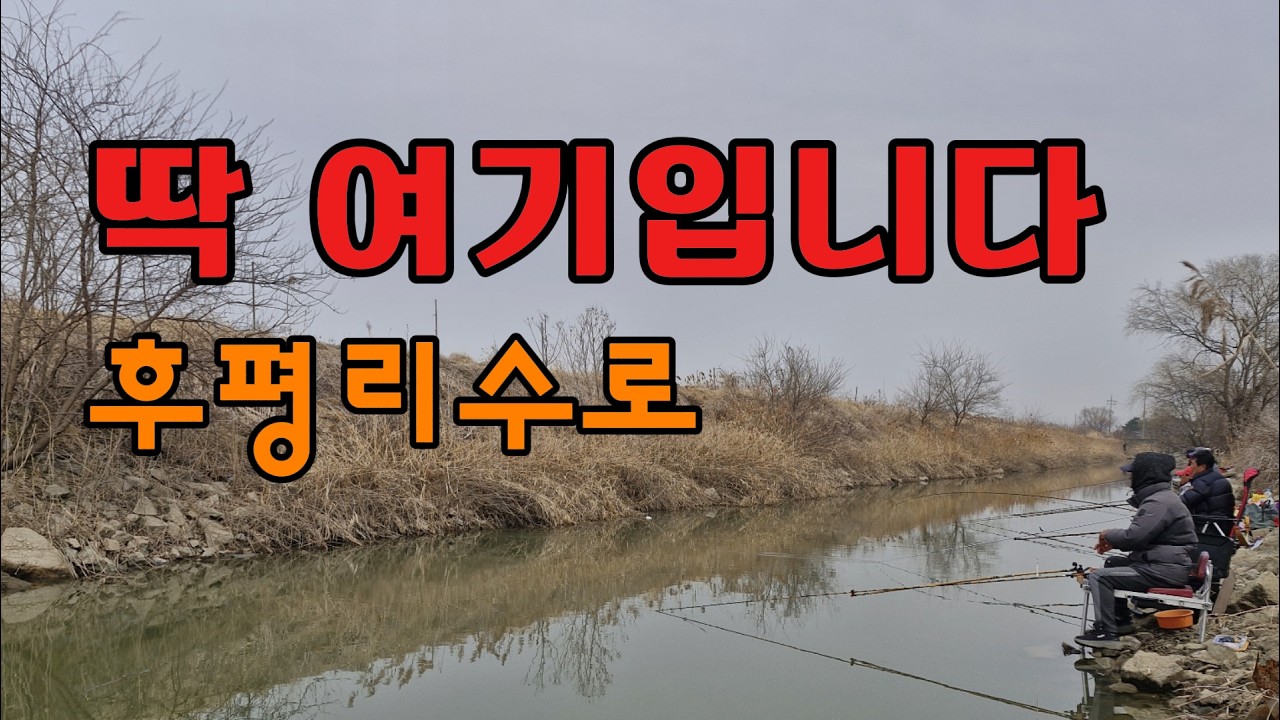 김포 하성면 후평리수로… 가장자리 던지자 붕어가 계속 나옵니다