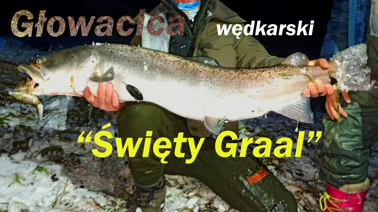Głowacica, marzenie każdego wędkarza. Wszystko o tym, jak złowić głowatkę.