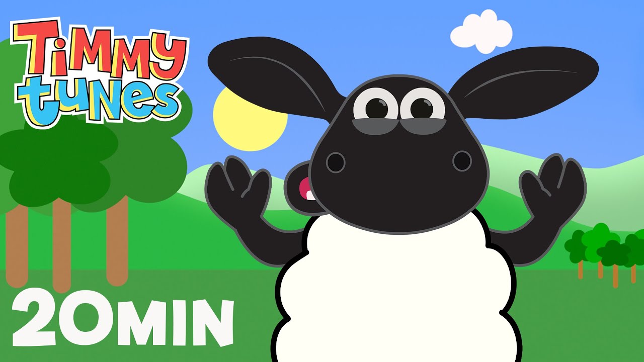 Timmy Tunes Every Episode ⏱️ Compilation 🎵 Songs for Kids