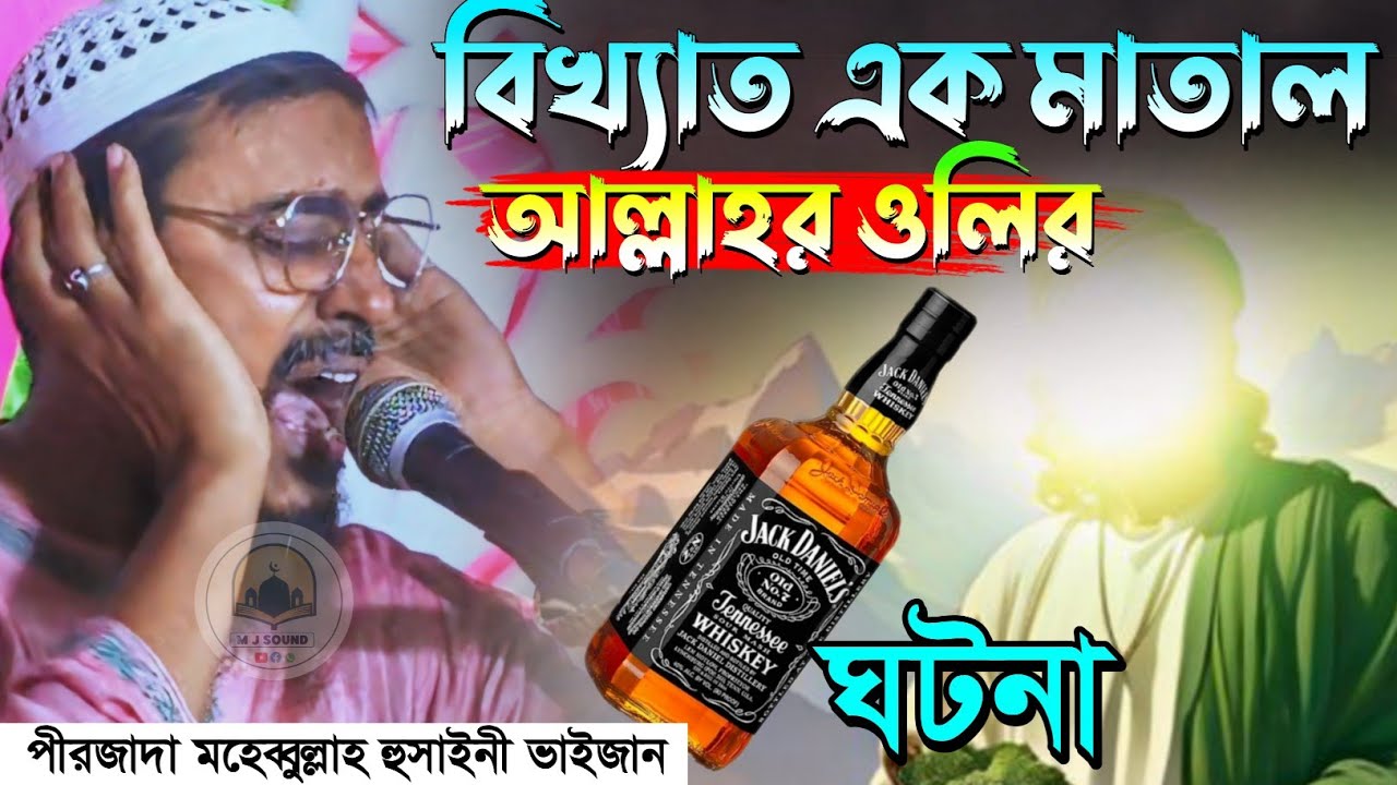 বিখ্যাত এক মাতাল আল্লাহর ওলির ঘটনা | Pirjada Mohibbulla Hussaini Waz | মহেবুল্লাহ হুসাইনী নতুন ওয়াজ