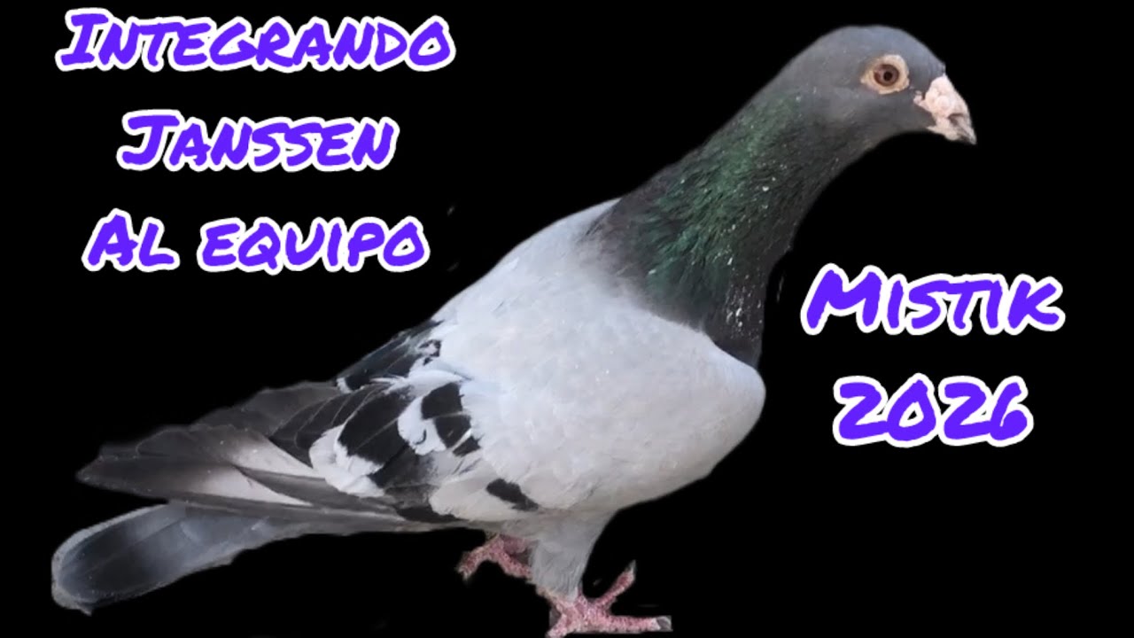 Adquisición de Janssen 2026