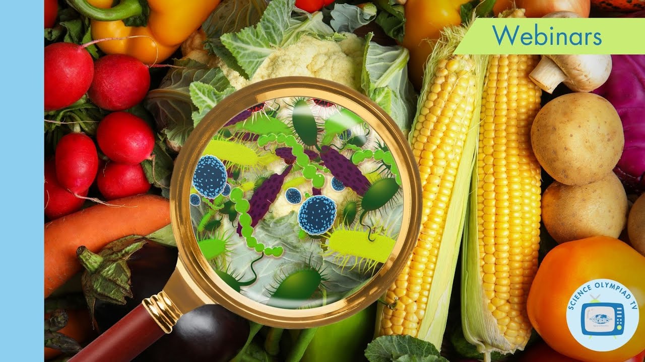 Exploring Food Science with the University of Delaware