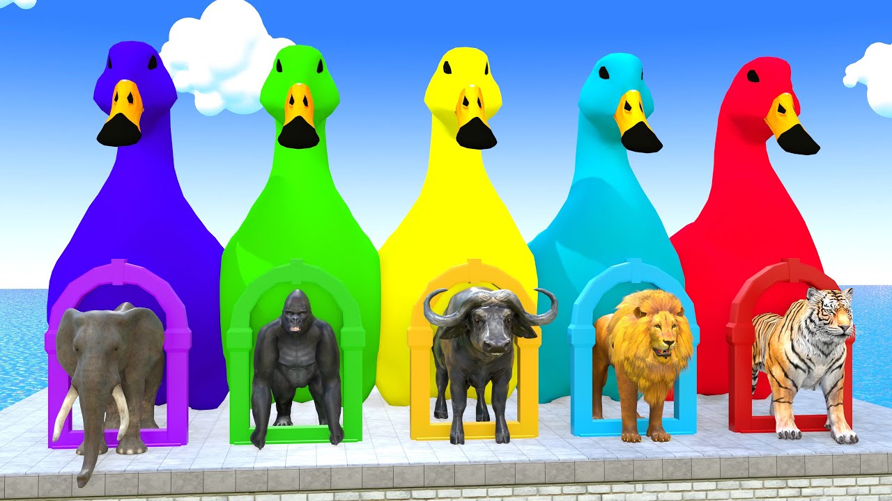 3D Animal Slide Game with Elephant, Gorilla, Buffalo, Lion & Tiger &ndash; Slide Fun | @Magicslideworld