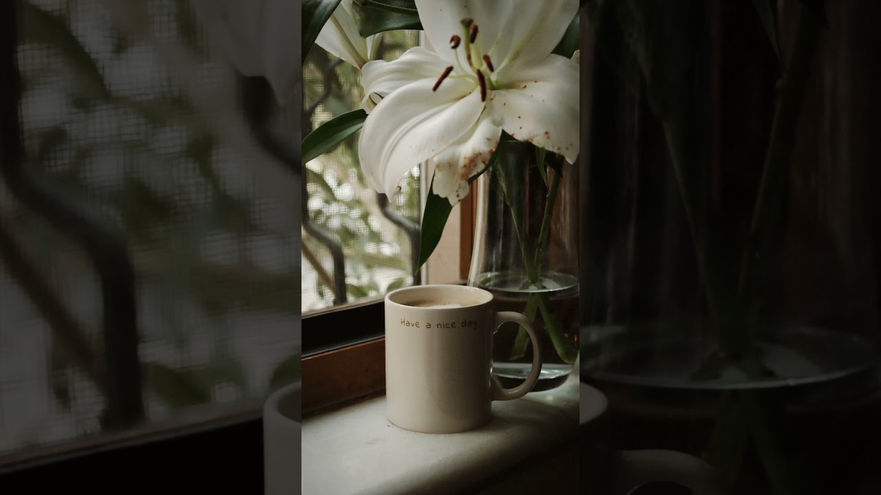 Relaxing Background Music for Café, Office, Hotel & More | Support Healing with Every Play 💛