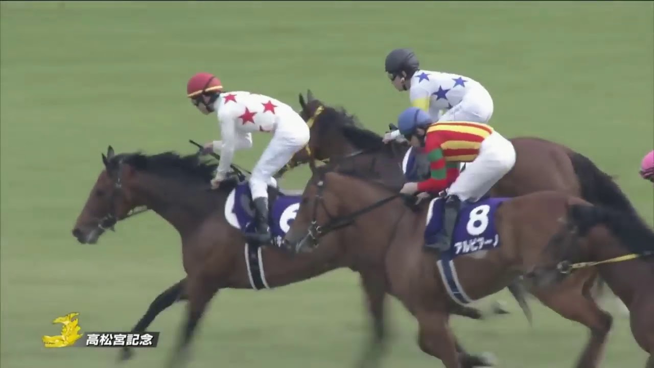 2016 Takamatsunomiya Kinen G1 - Big Arthur (大仁大勇) - Y.Fukunaga (超快時間輕鬆贏馬)