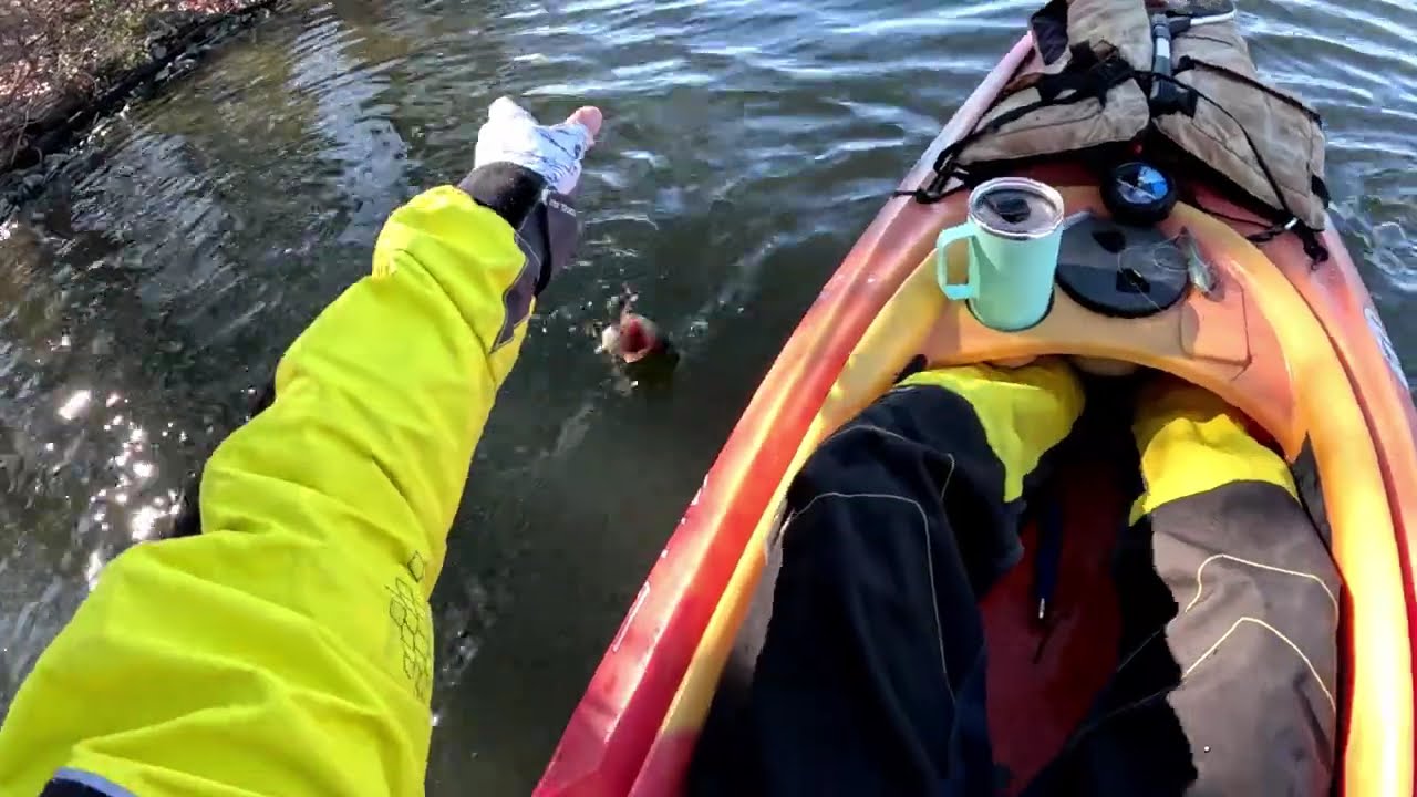 Found 5 lures and a handful of fish