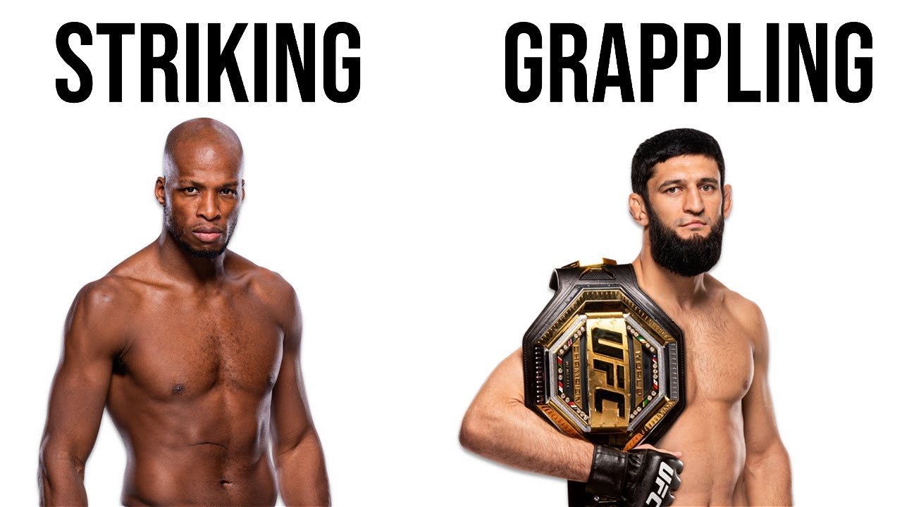 Building The Best Possible UFC Fighter In Each Weight Class