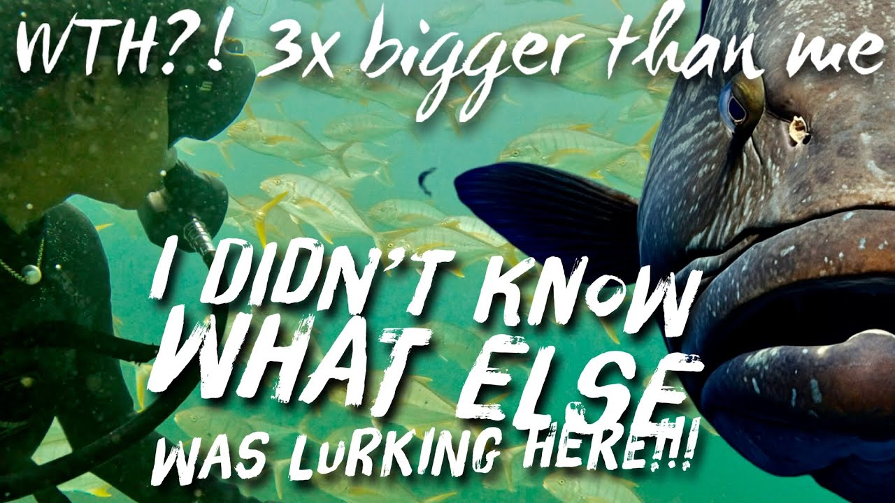 What’s lurking beneath? Most heart-pounding dive yet while fishing the remote Kimberley, WA Ep34 4K