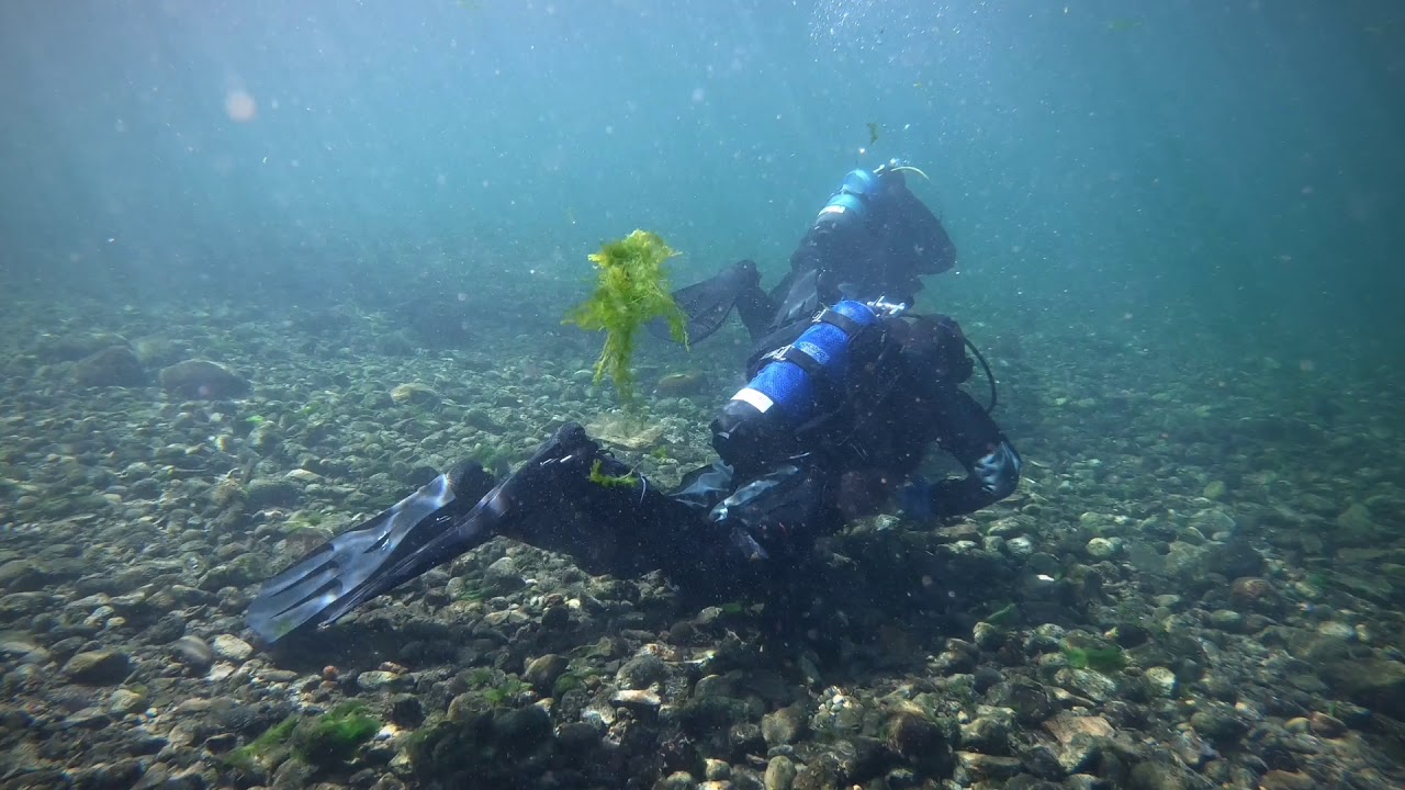 Riverdive from Hemishofen to Gailingen
