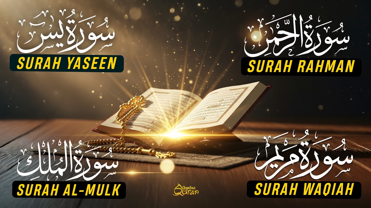 Surah Yasin | Surah Rahman | Surah Waqiah | Surah Mulk | Full HD Quran | Alaa Yaseer- Dignfied Quran