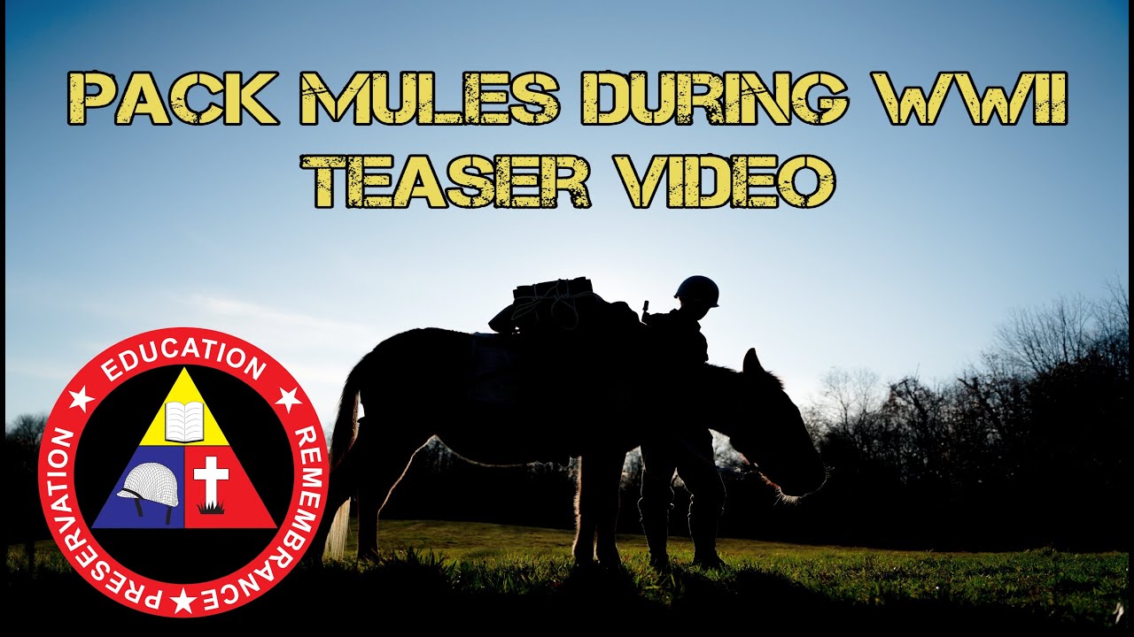 Beasts of Burden Teaser - WWII Pack Mules