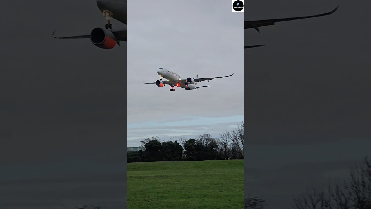 Big metal bird flying very low over park! 😯🛬... Ethiopian Airlines 🇪🇹✈️❤️... #shorts