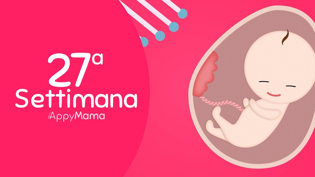 27 Settimana di gravidanza - L'importanza delle cellule staminali