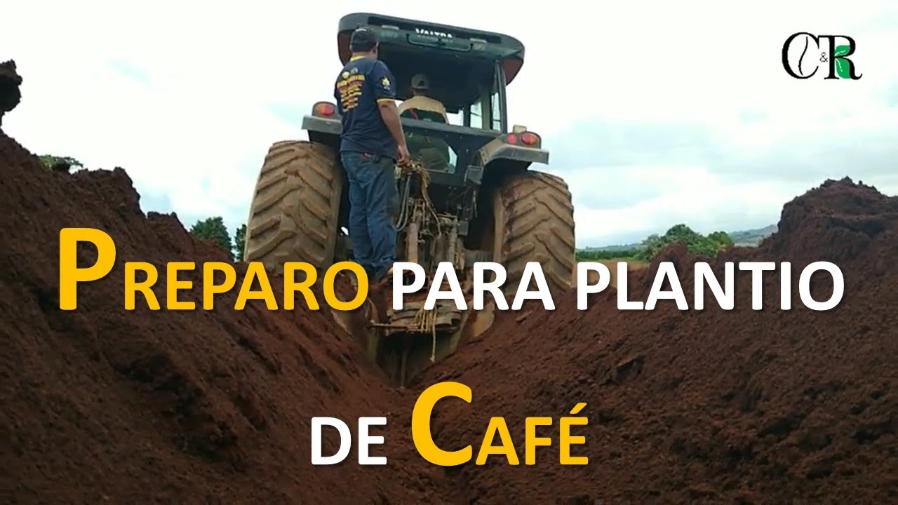 #PLANTIO DE CAFÉ#