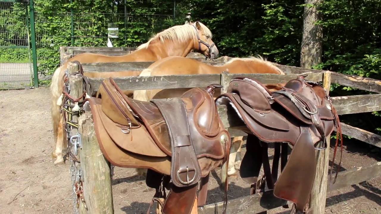 Boerderij Meerzicht - Promo