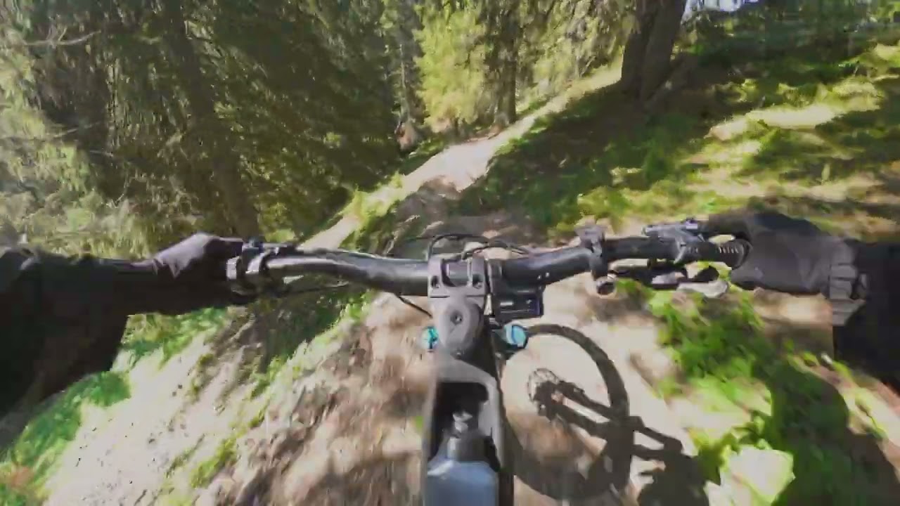 DH MTB Moléson trail 