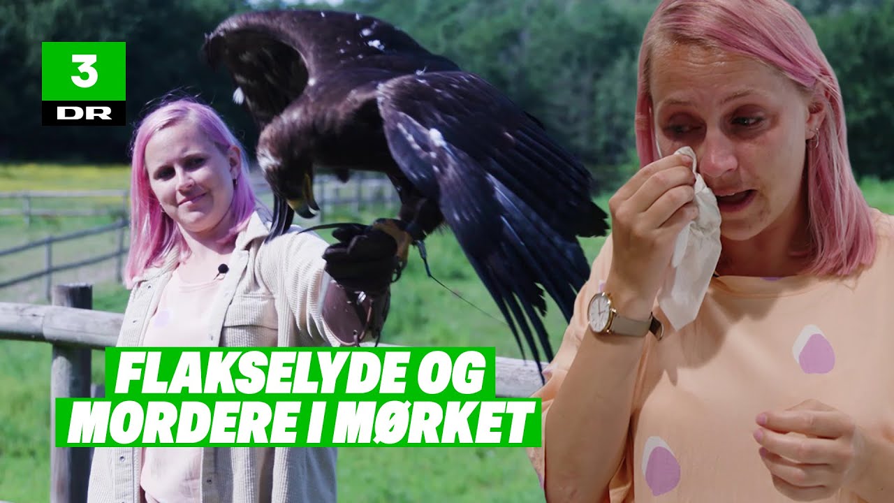 Jeg afprøver de 3 største frygt-situationer i mit liv!