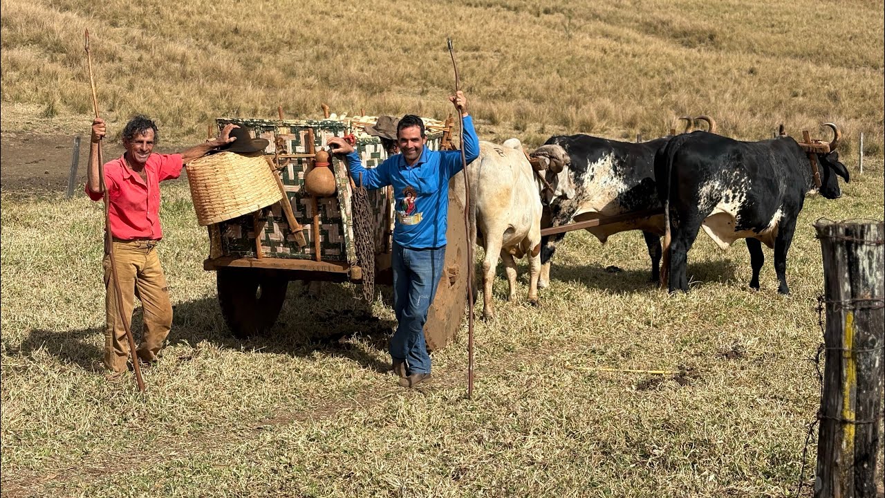 PRIMEIRA VIAGEM DE MILHO NA FAZENDA TAMBURI- 2025