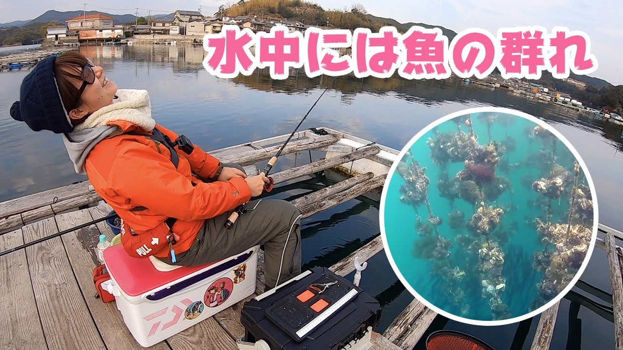 冬の味覚、牡蠣で大物を狙う！【水中映像】（下津浦・内瀬釣りセンター）
