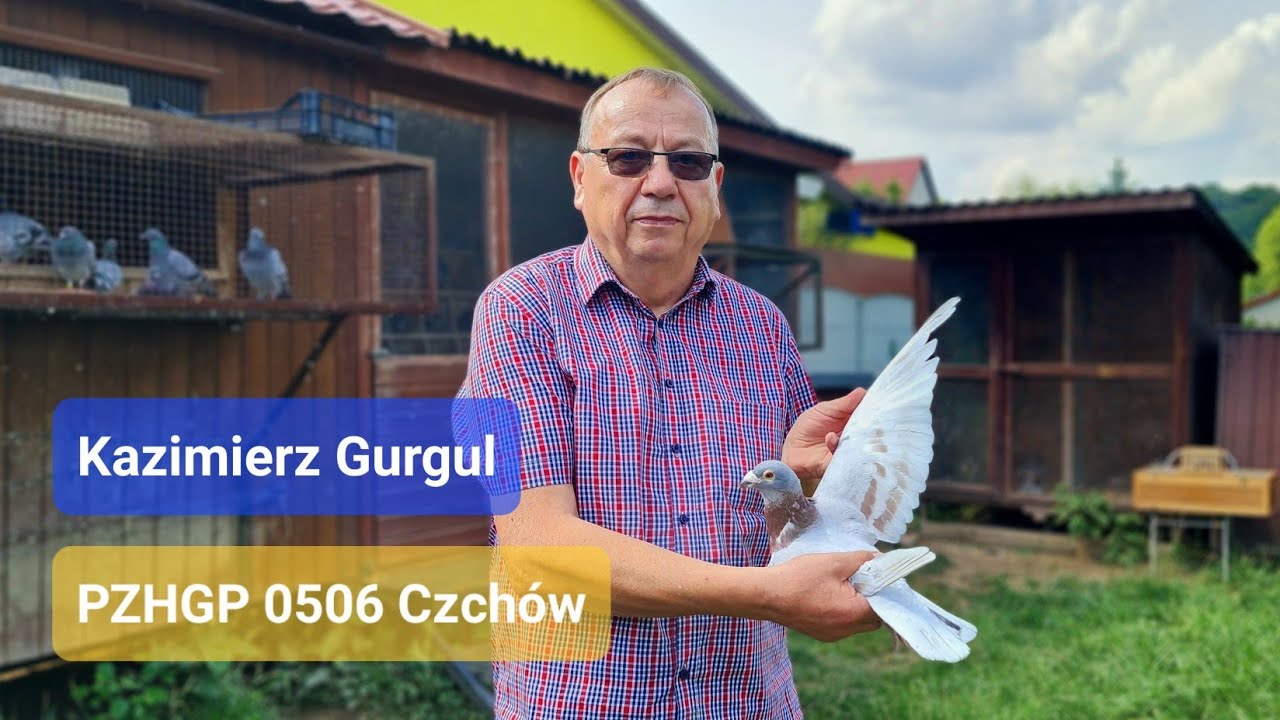 Kazimierz Gurgul - PZHGP 0506 Czchów / Historia hodowli & Słynny As 