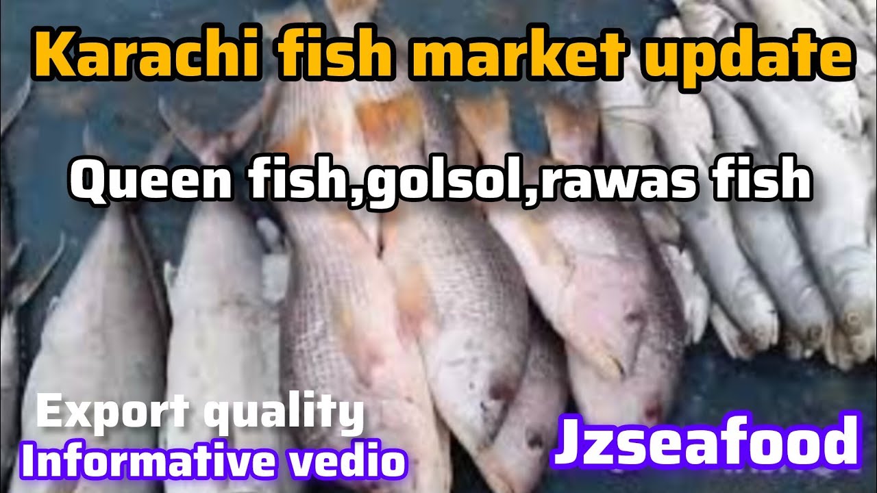 &ldquo;Karachi Fish Market Today | Queen Fish, White Rawas & Golsol Fish Fresh Rates 🔥&rdquo;