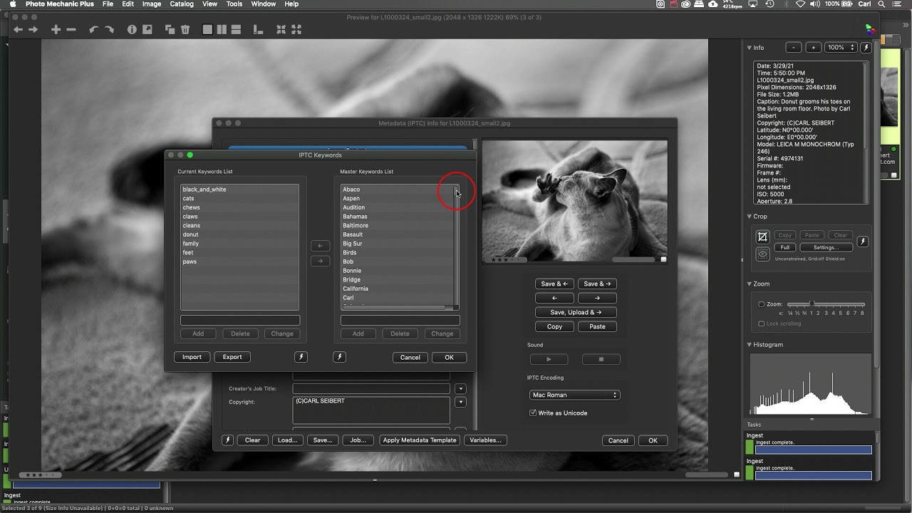 Photo Mechanic: Controlled Vocabulary right in the Keywords field