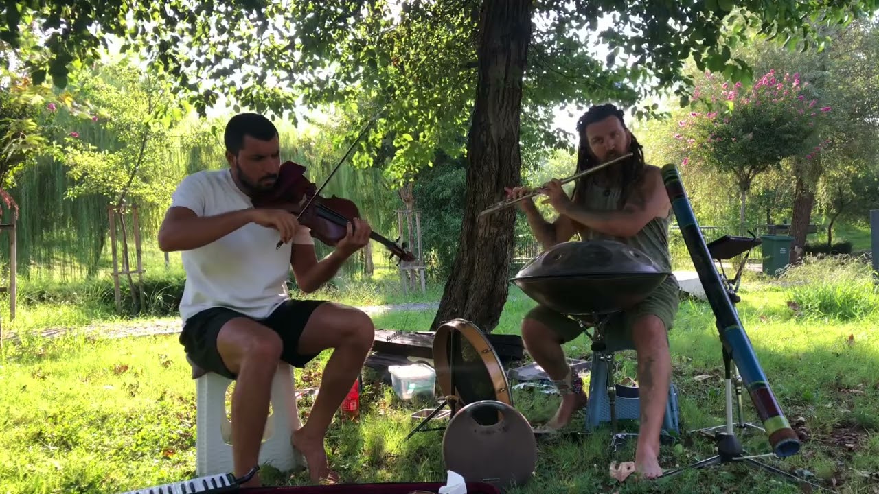 But friends are beautiful Live improvisation Handpan violin harmonica flüte.@sedatakkass 