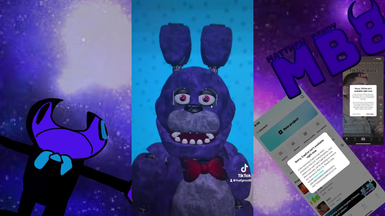 TikTok compilation after TikTok ban