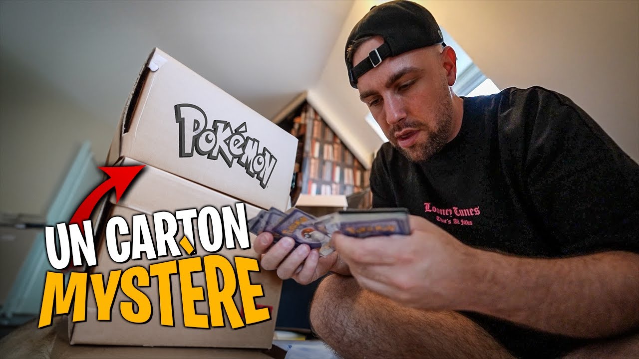 1000€ dans un carton mystère de vide grenier