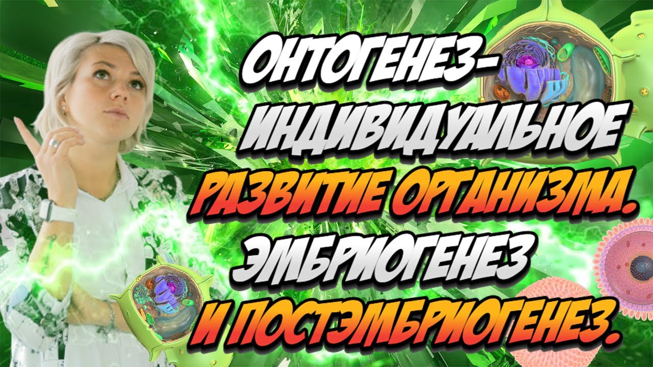 Онтогенез-индивидуальное развитие организма. Эмбриогенез и постэмбриогенез. ЕГЭ по биологии
