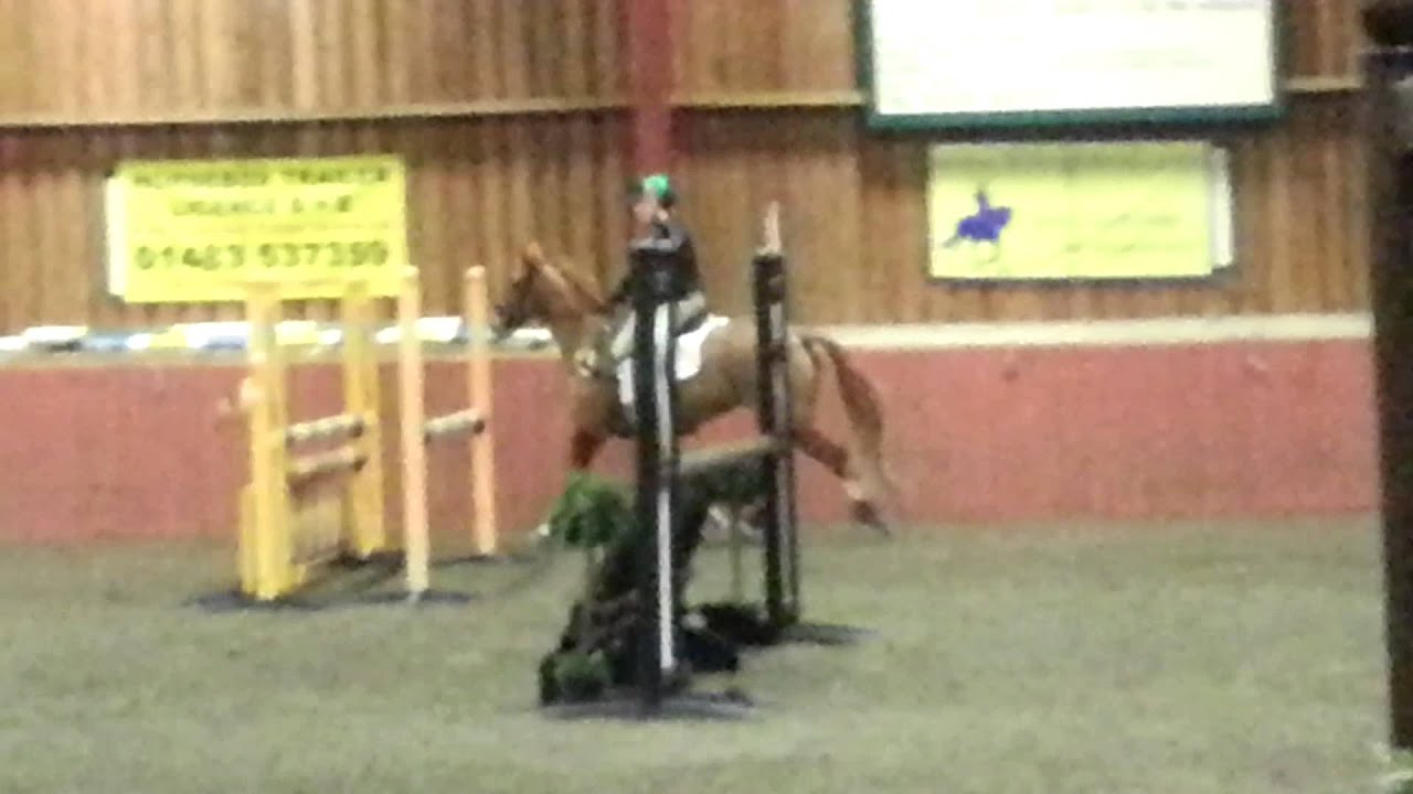 Unaffiliated SJ/XC. Merrist Wood. 1m class. 23-11