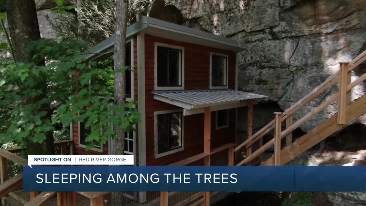 Spotlight on Red River Gorge:  Sleeping Among the Trees