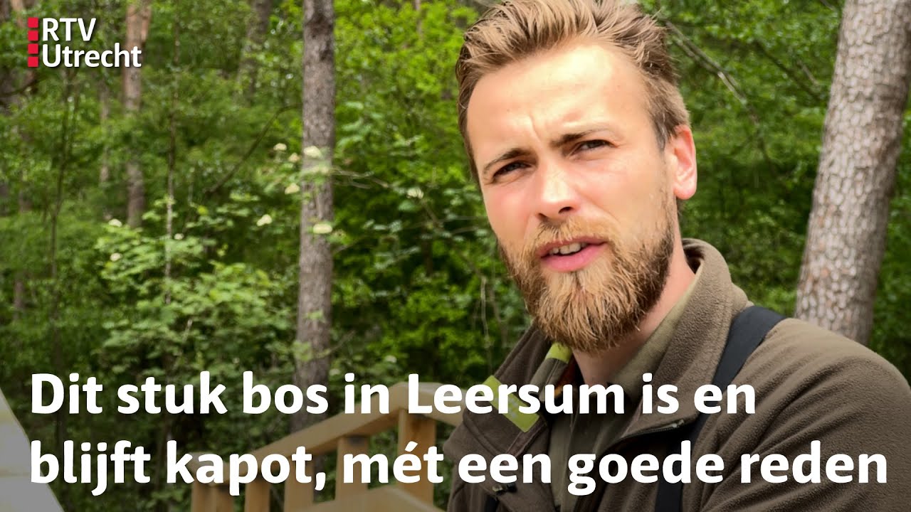 Na de valwind lag het bos in puin, en dat blijft dus zo | RTV Utrecht