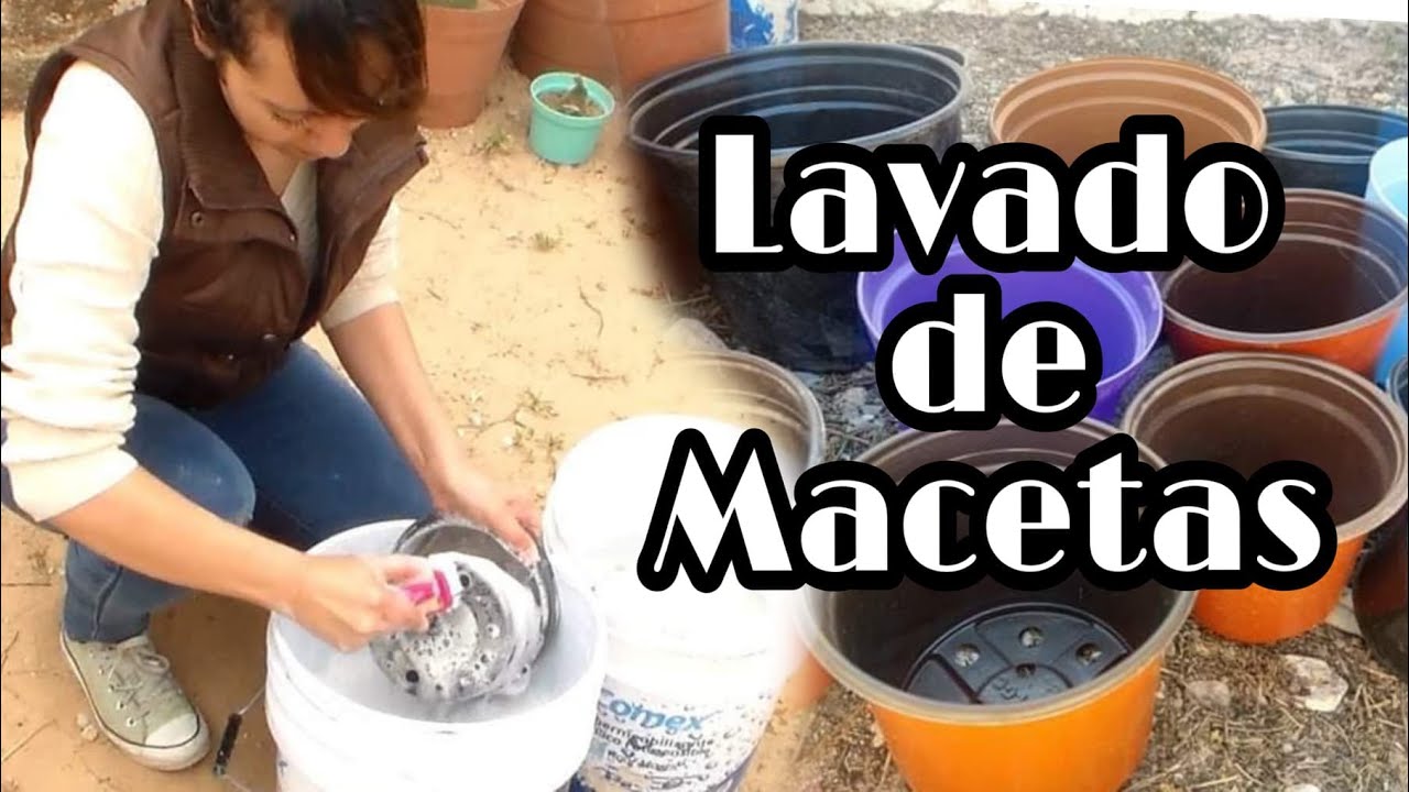 Como lavar macetas para reutilizar // Lavado de macetas paso a paso