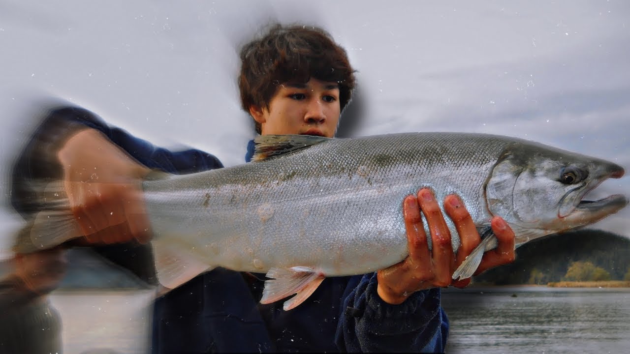 coho on the fly