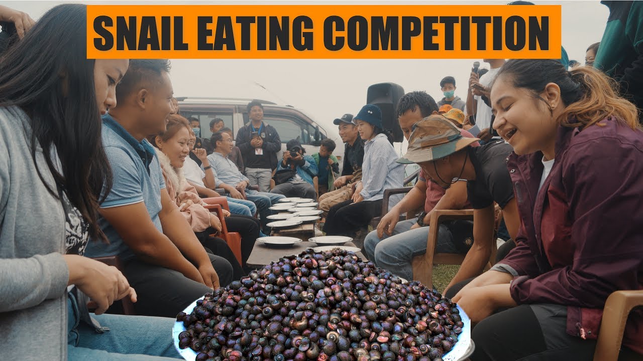 SNAIL AND TROUT FESTIVAL 2022 | POILWA NAGALAND #sheepfarm #zeliangbadass