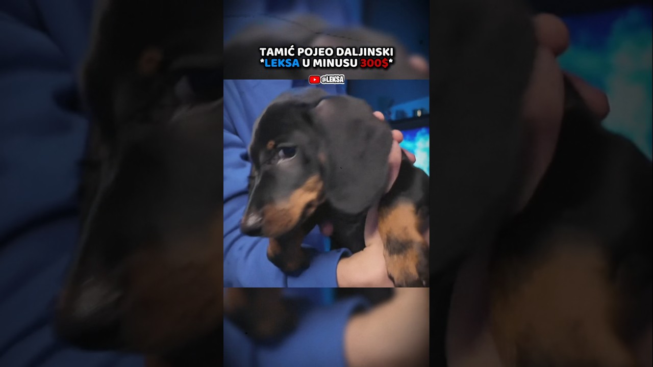 TAMIĆ OPET PRAVI SR*NJA #shortsviral #shortvideos #shorts #foryoupage #leksa #leksaclips
