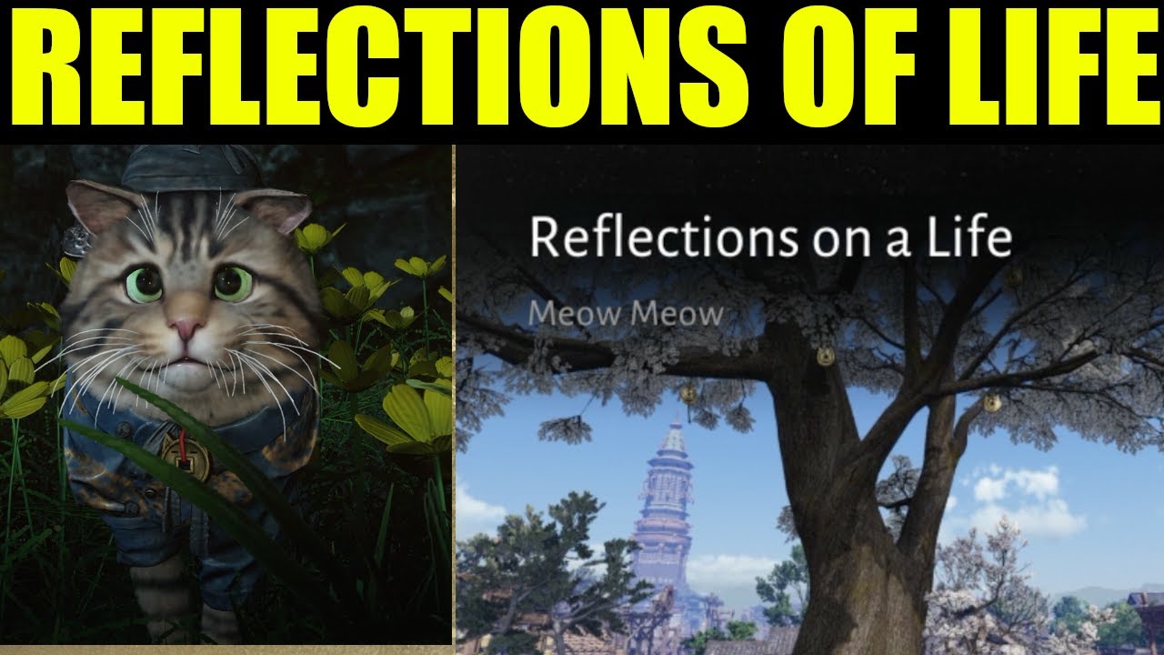 Там, где встречаются ветры &mdash; размышления о жизненном пути (один лист &mdash; одна жизнь)