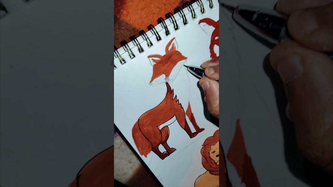 Animal Drawing 