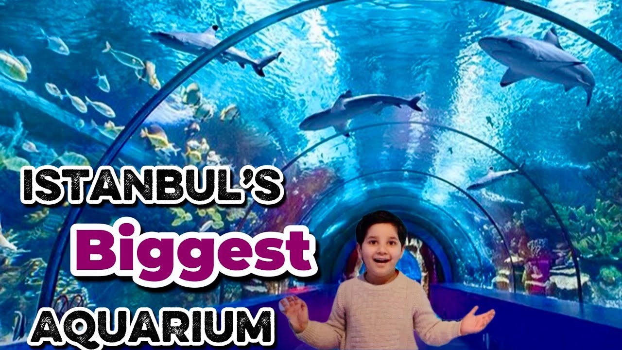 Tour to the biggest aquarium in Istanbul 🇹🇷 ｜ Aqua Florya Aquarium