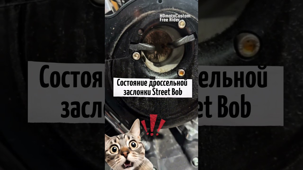 Секрет чистого мотора Harley StreetBob раскрыт! Фильтры!