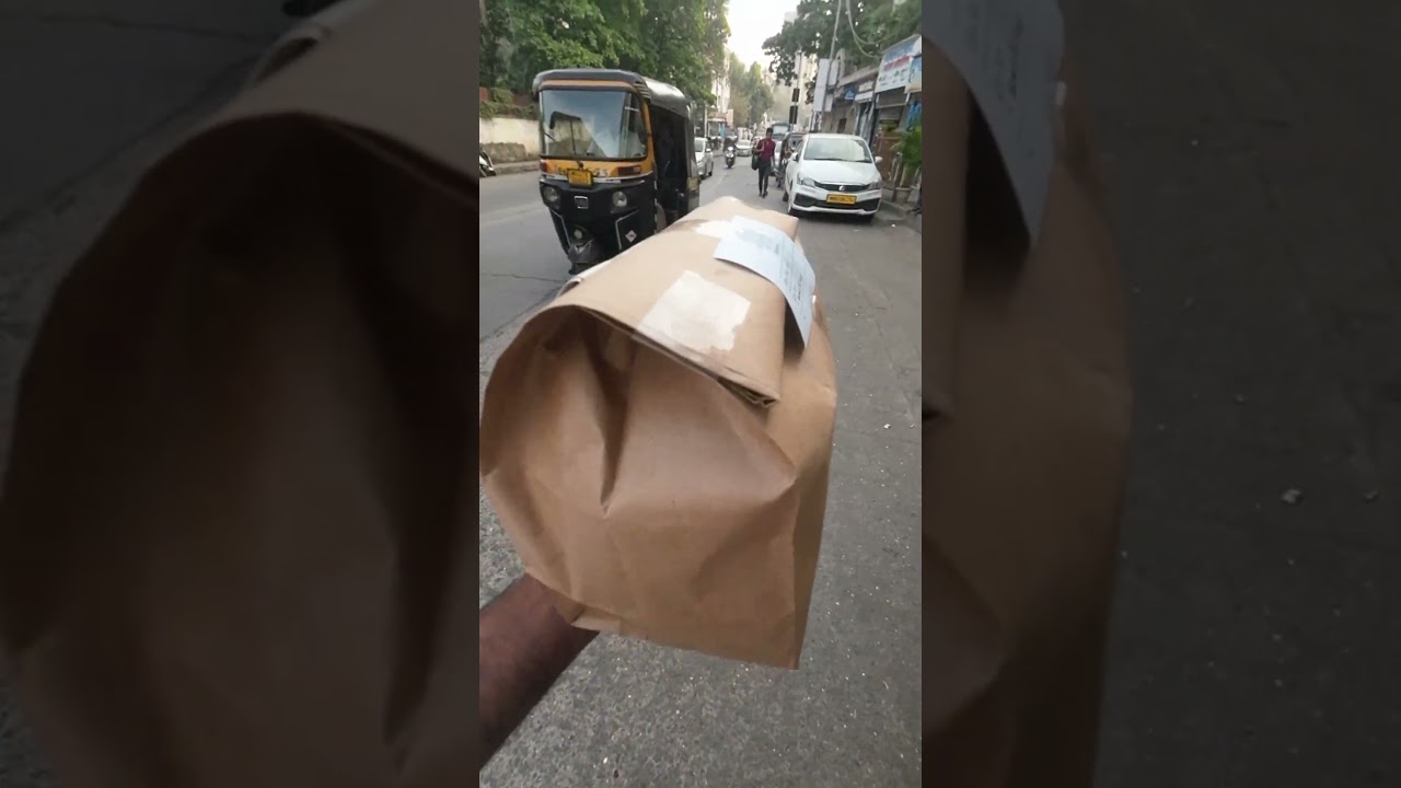 Porter & Borzo Parcel Delivery Earning Mini Vlogs