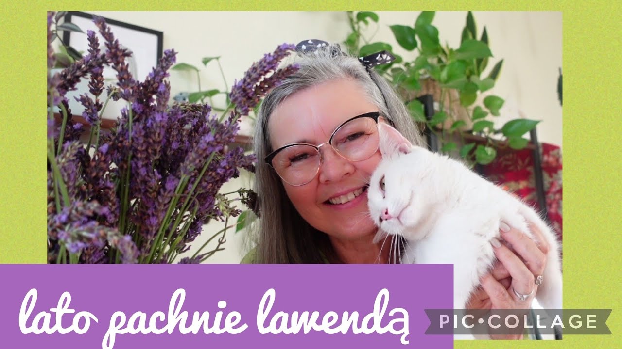 lato pachnie lawendą