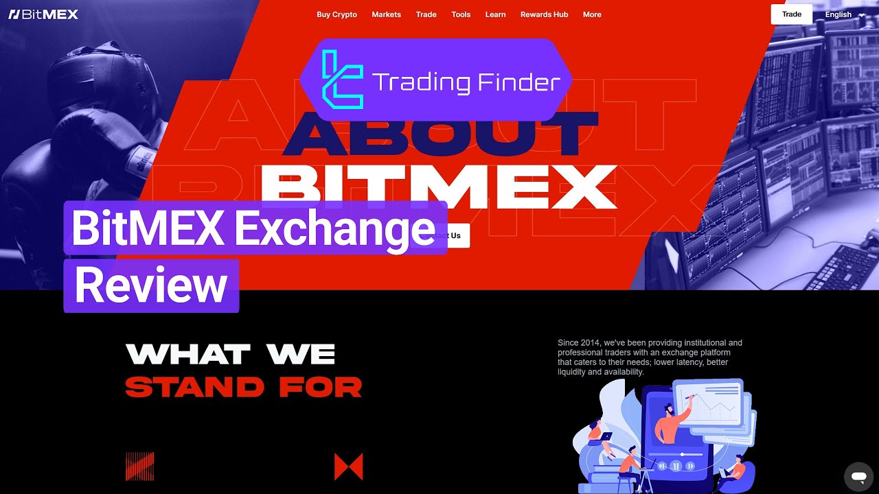 BitMEX Exchange Review 2024 &ndash; Advanced Crypto Derivatives Trading Platform-TFLab ✨