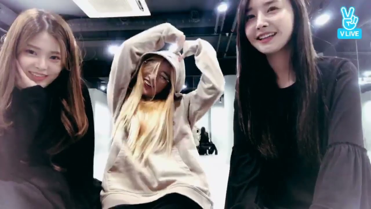 VLIVE - Nari Funny Moments with Park Jiwon & Dalshabet's Woohee 