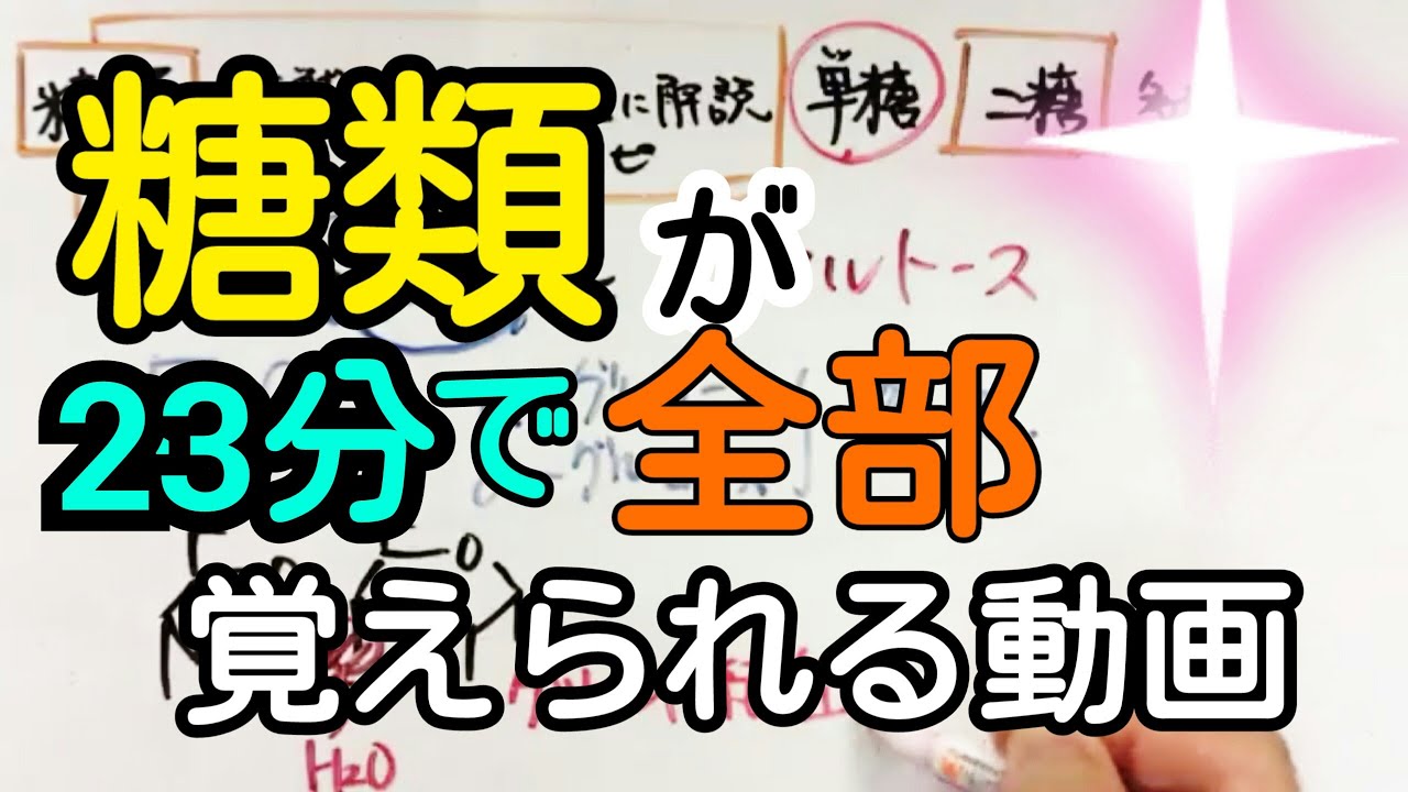 【化学】糖類の覚え方が23分でわかる動画【語呂合わせ】