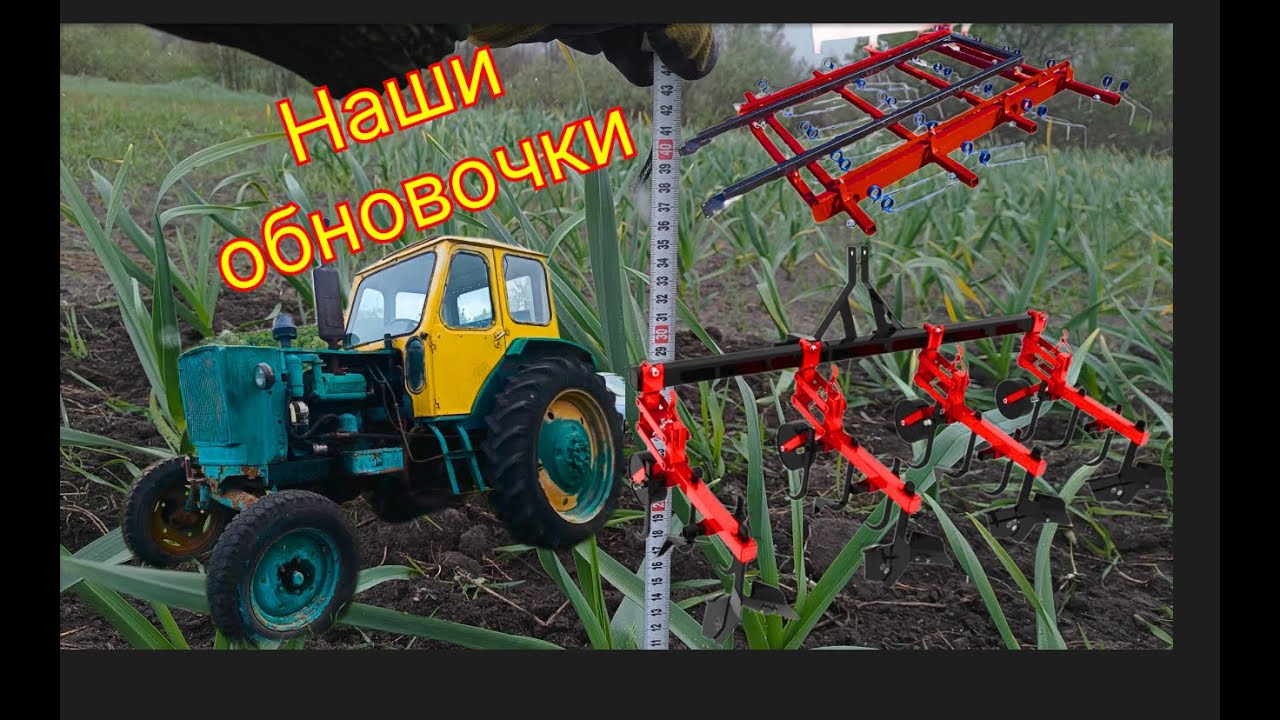 Первая весенняя культивация чеснока