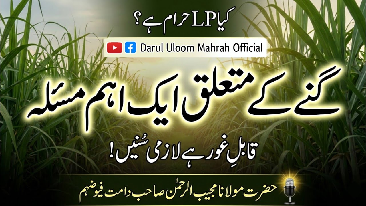 گنے کے متعلق ایک اہم مسئلہ | LP Haram Hai? | Sugarcane Islamic Ruling 
